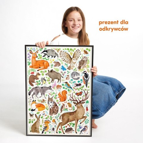Puzzle odkrywcy - dzika przyroda 300 elementów