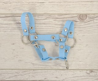 Kantar dla konia Hobby Horse A4 zapinany mały - błękitny