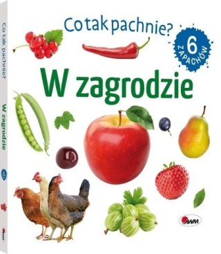 CO TAK PACHNIE W ZAGRODZIE