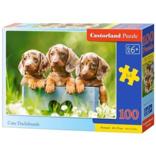 Puzzle 100 cute dachshunds CASTOR