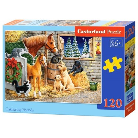 Puzzle 120el. gathering friend CASTOR
