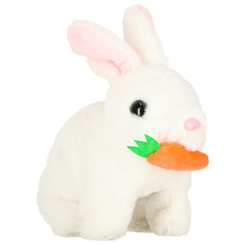 Królik króliczek z marchewką pluszowy chodzi rusza uszami