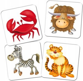 Kuferek - ZOO Adamigo memory 06441