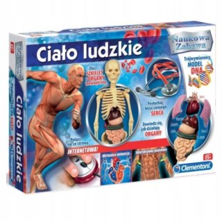 CLEMENTONI ciało ludzkie 60249