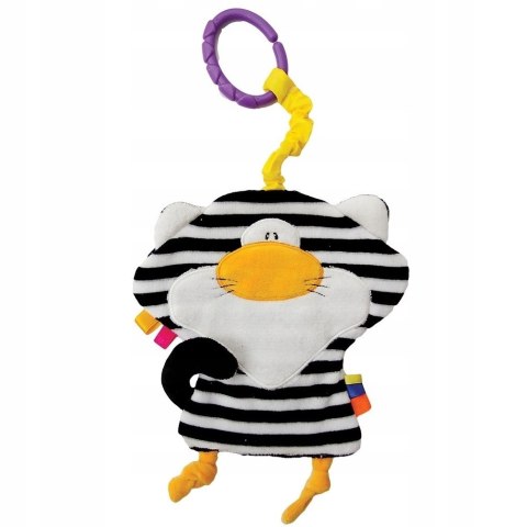 Kot czarno-biały 923