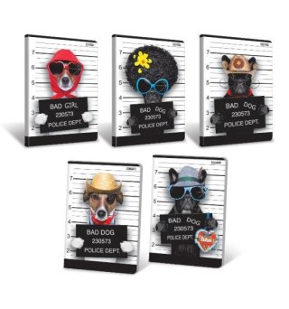 ND17_SZ-50332 Zeszyt A5 16k kr LAM BAD DOG HAMELIN p20