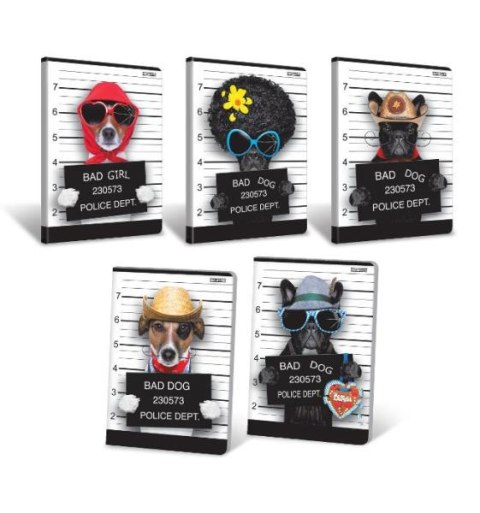 ND17_SZ-50332 Zeszyt A5 16k kr LAM BAD DOG HAMELIN p20