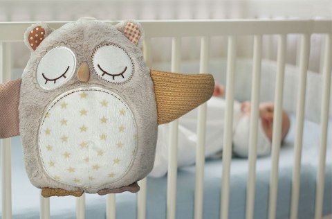 ND19_CLNO-8524-OW Cloud b® Nighty Night Owl Smart Sensor™ - Sowa - Pozytywka