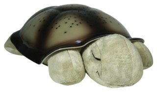 ND19_CLTT-7323-ZZ Cloud b®Twilight Turtle™ - Classic Mocha - Żółw - Lampka