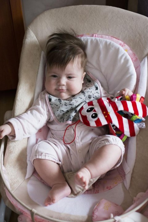 Ośmiornica szeleścik 979