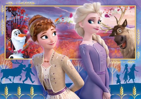 CLE puzzle 60 Frozen 2 26056