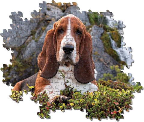 CLE puzzle 1000 Charlie Brown 39511.