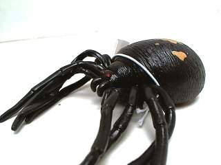 Pająki 4rodzaje HTE011A /24 34137.