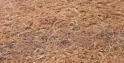 ND33_SILLO-015520 MATERAC KOKOS-PIANKA 140×70 (9cm)