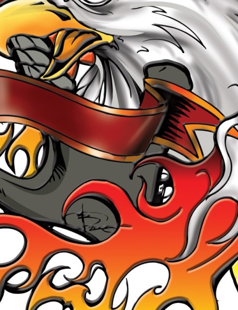 ND38_IPAD40009 Nexgen Skins - Zestaw skórek na obudowę z efektem 3D iPad 2/3/4 (Iron Eagle 3D)