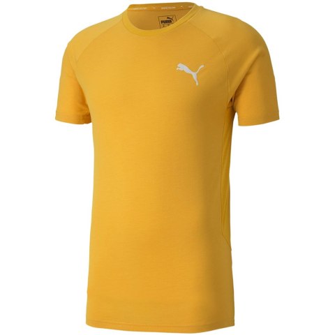 ND05_K9846-S Koszulka męska Puma Evostripe Lite Tee żółta 581534 25 r.S