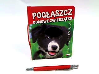 Pogłaszcz Domowe zwierzątko 11170