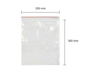 ND39_180528 TOREBKI STRUNOWE 250X300 FOL OP100SZT