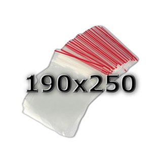 ND39_350579 TOREBKI STRUNOWE 190X250 TAM FOL OP100SZT