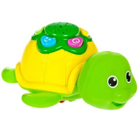 ND39_359914 BAM BAM ZABAWNY ZOLW 36/72