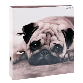 ND39_391674 I SEGREGATOR A4/70 STK PSY PUD 1/20