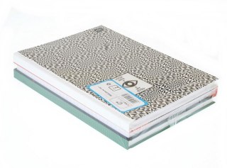 ND39_401572 ZESZYT A4/160K LIN OPR TW INT FOL A 3