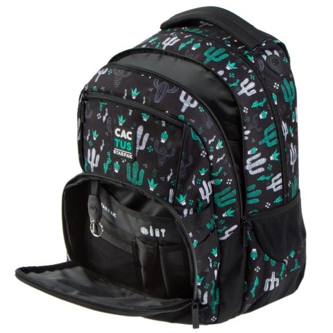 ND39_446512 I PLECAK STK CACTUS PB 1/12