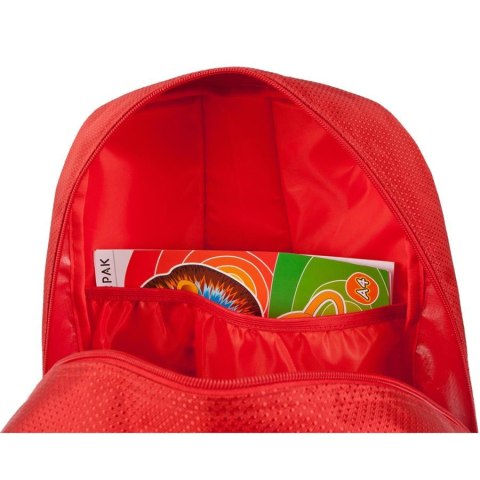 ND39_446566 I PLECAK STK POLSKA PB 1/12