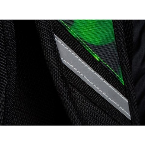 ND39_446574 I PLECAK STK LIME PB 1/12