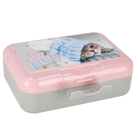 ND39_447907 I BIDON PUDELKO SNIAD KOTKI PB 1/24