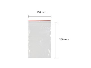 ND39_153809 TOREBKI STRUNOWE 160X250 FOL OP100SZT