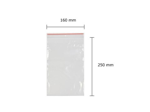 ND39_153809 TOREBKI STRUNOWE 160X250 FOL OP100SZT