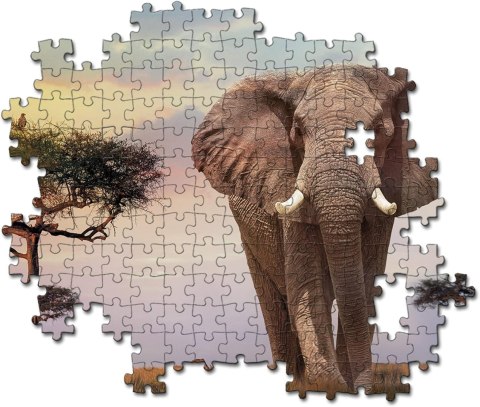 CLE puzzle 500 HQ African Sunset 35096