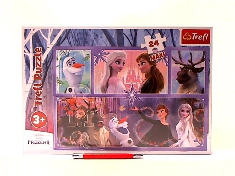 PUZZLE MAXI 24 Świat pełen magii 14345