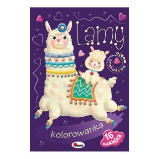 ND35_70043_MO097-5 LAMY KOLOR.BROKAT.MAGIA