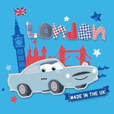 ND19_MARDSN15CR________AI Piszcząca książeczka do kąpieli - Auta