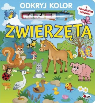Odkryj kolor Zwierzęta 58.11.13 10890
