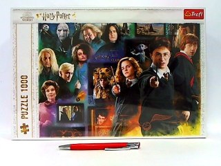 PUZZLE 100 Świat czarodziejów / Warber 10668