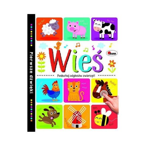 ND35_71843_MO166-8 Wieś pierwsze dźwięki