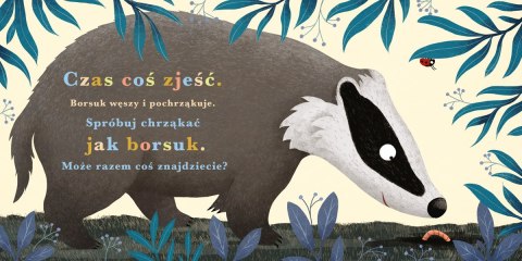 Rok w lesie Borsuk 36381