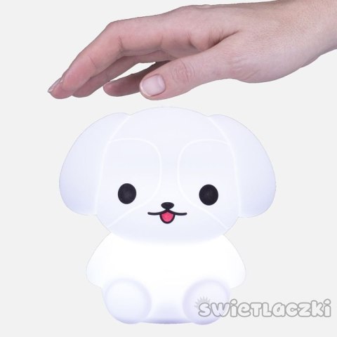 ND35_71883_MES027 Świetlaczek piesełek mm027