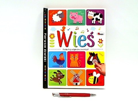 Wieś pierwsze dźwięki 58.11.13 11668