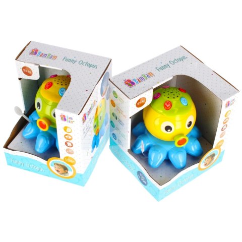 ND39_359913 BAM BAM ZABAWNA OSMIORNICA 36/72