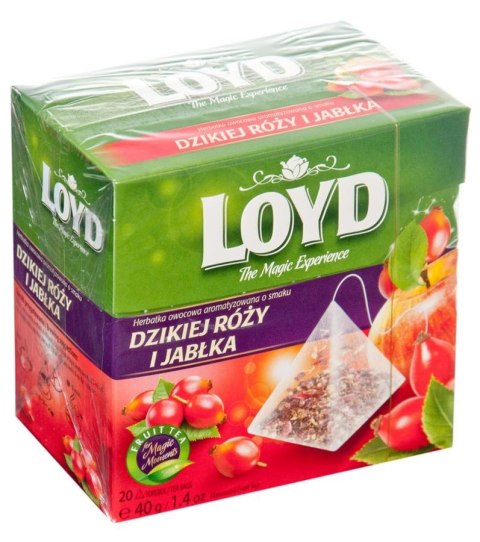 ND39_366135 HERBATA EXPRESOWA LOYD DZIKA ROZA/JABLKO OP20SZT