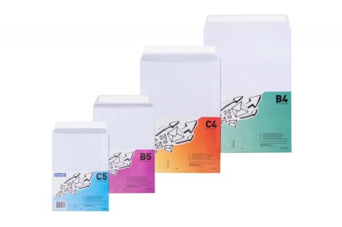 ND39_440671 KOPERTA B5 HK BIA BAN FOL OP50SZT