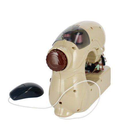 ND39_479900 MASZYNA DO SZYC B/O AKC 34X24X11 MC WB 16/32