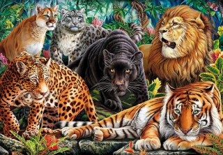 !!! CLE puzzle 500 HQ Wild Cats 35126