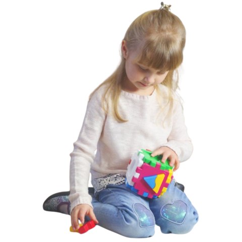 Sorter Mądry maluch logiczny 2 TEH2469 02469