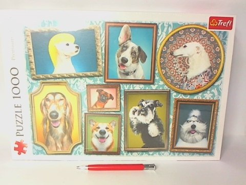 PUZZLE 1000 Psia Galeria 10686