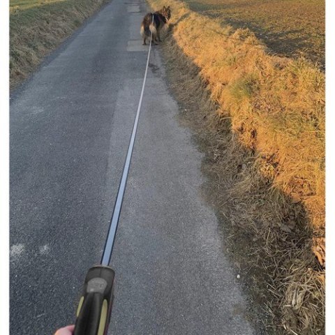 Smycz automatyczna dla psa 8m/50kg Purlov 19786